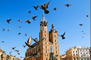 Krakowskie stare miasto (wycieczka prywatna)