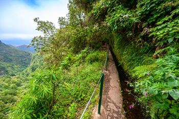 Caldeirão verde