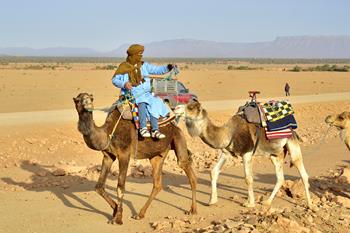 Jazda na wielbłądach z Agadiru