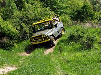 Jeep Safari z Albeny