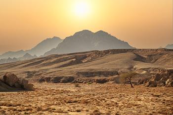 Dahab Safari