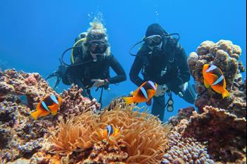 Pláž Sharm El Naga + 1 ponor