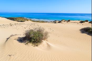 Gran Tour Fuerteventura z Caleta de Fuste (PL)