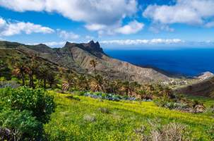 Hotel Landmar Playa La Arena Tenerife Canary Islands Holidays