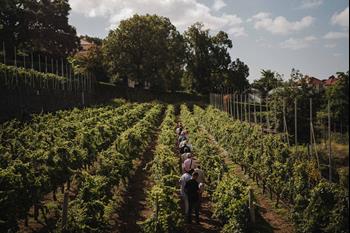 Heritage Wine Tour - vinice Quinta de Santa Luzia