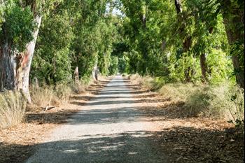 Jeep Safari – Park Narodowy Güzelçamlı (Özdere)