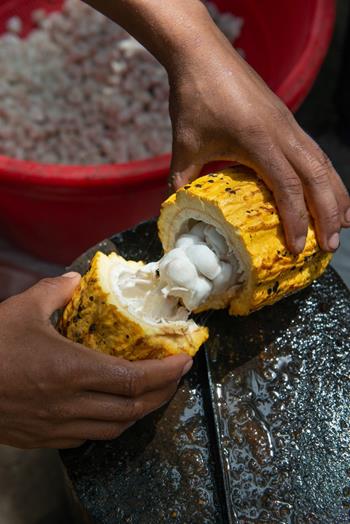 Millot a Ambanja - chuť Madagaskaru