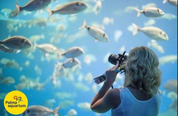 Palma Aquarium z východu