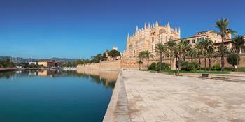 Palma Free Style