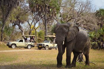 Rezervace Selous - Safari v Tanzanii 2 dny