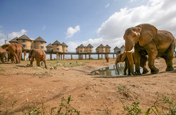 Ngutuni i Salt Lick - 2 dni z Watamu