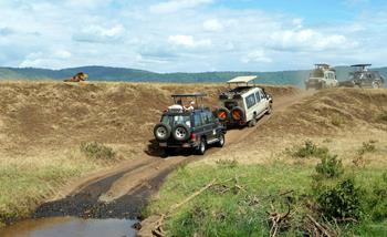 Rezerwat Selous - Safari w Tanzanii 2 dni