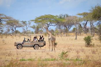 Rezervace Selous - Safari v Tanzanii 1 den