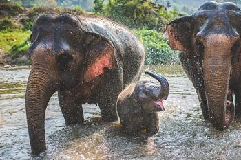 Tajemniczy Khao Sok